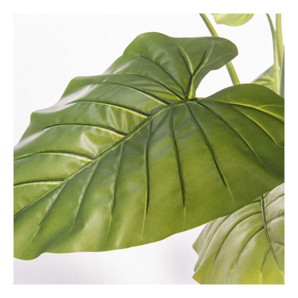 Pianta Philo wild 120cm - immagine 4