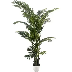 PIANTA PALMA REAL TOUCH BIG D.110*170CM