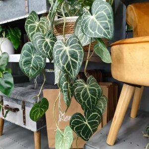 PENDENTE REAL TOUCH ANTURIUM 5 RAMI 26 FOGLIE 86CM verde con venature