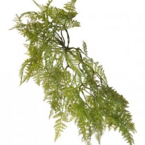 PENDENTE FELCE GREEN 54CM