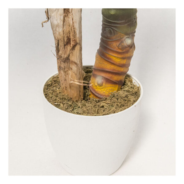 Pianta Philo wild 120cm - immagine 3
