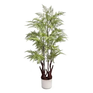 Pianta felce H.100CM