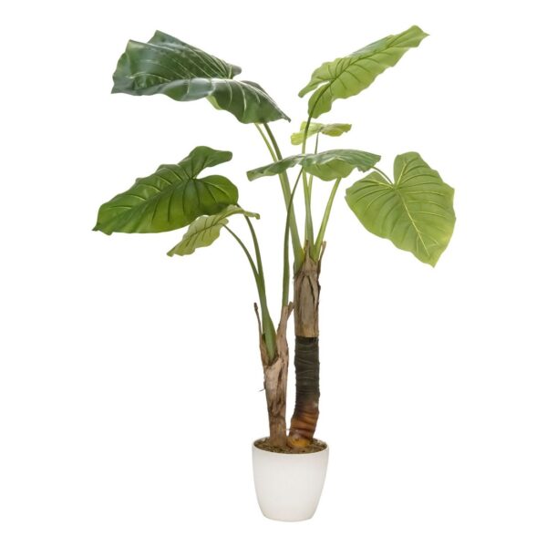 Pianta Philo wild 120cm