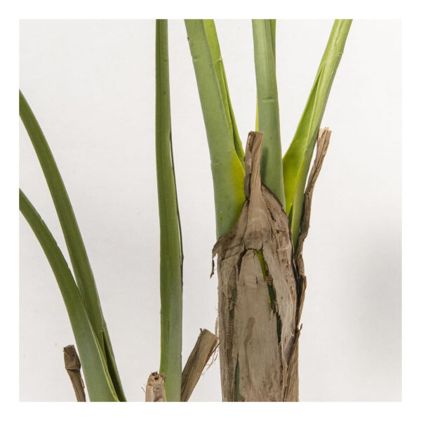 Pianta Philo wild 120cm - immagine 2