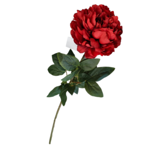 Stelo peonia 72cm rossa