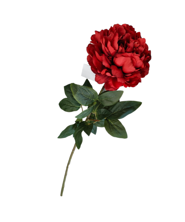 Stelo peonia 72cm rossa