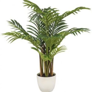 PIANTA PALMA VASO BIANCO 60CM