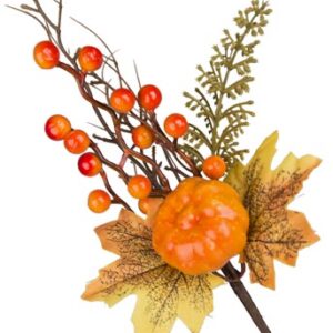 PICK AUTUNNO ZUCCA 28CM