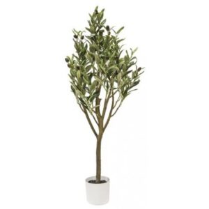 PIANTA ULIVO 42*42*95CM