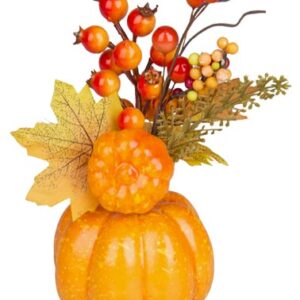 PIANTINA AUTUNNO VASO ZUCCA 19CM