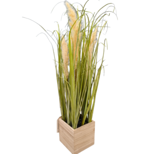 PIANTA PAMPAS VASO LEGNO 56CM