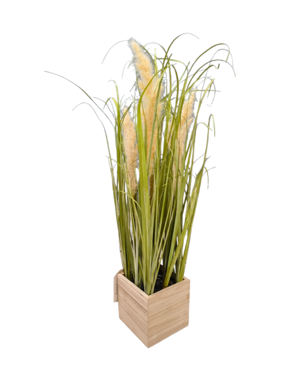 PIANTA PAMPAS VASO LEGNO 56CM