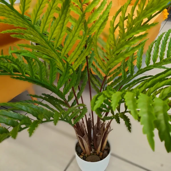 PIANTA FELCE 11 FOGLIE RAMI ALTI 96*96*99CM - immagine 3