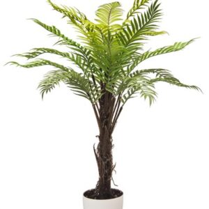PIANTA FELCE 19 FOGLIE 99*99*129CM