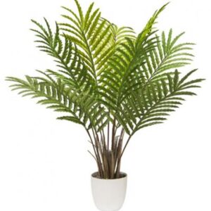 PIANTA FELCE 11 FOGLIE RAMI ALTI 96*96*99CM