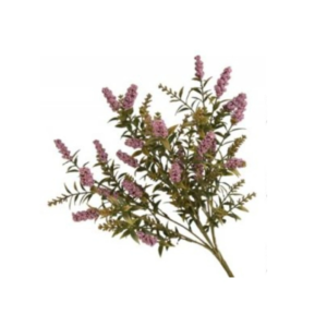 BUSH LAVANDA EVERYDAY 40CM