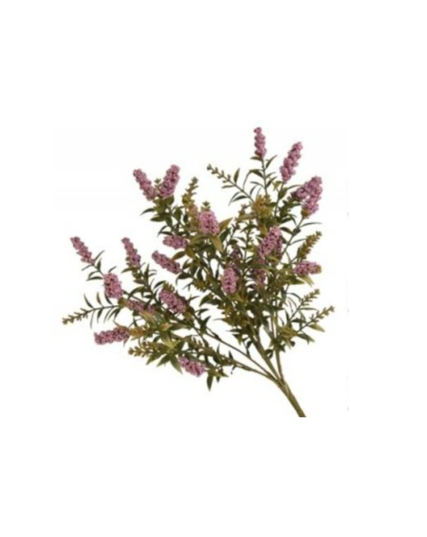 BUSH LAVANDA EVERYDAY 40CM