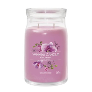 CANDELA GRANDE WILD ORCHID
