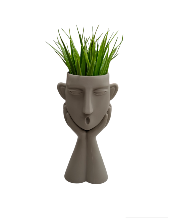 VASO MODERN PLANT HEAD 11*10*H29CM - immagine 2