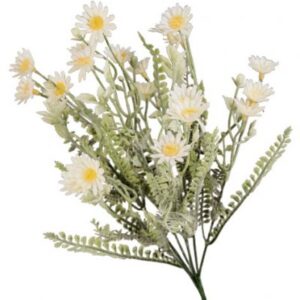 BUSH MINI MARGHERITE 42CM