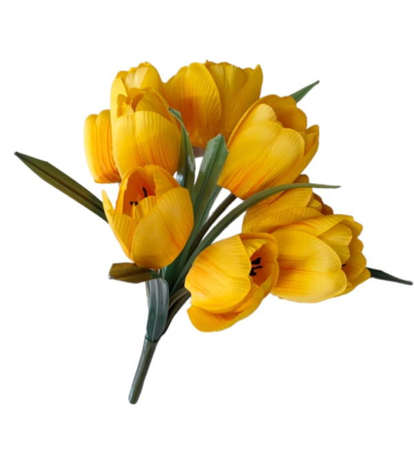 BUSH TULIPANO X10 34CM - immagine 3