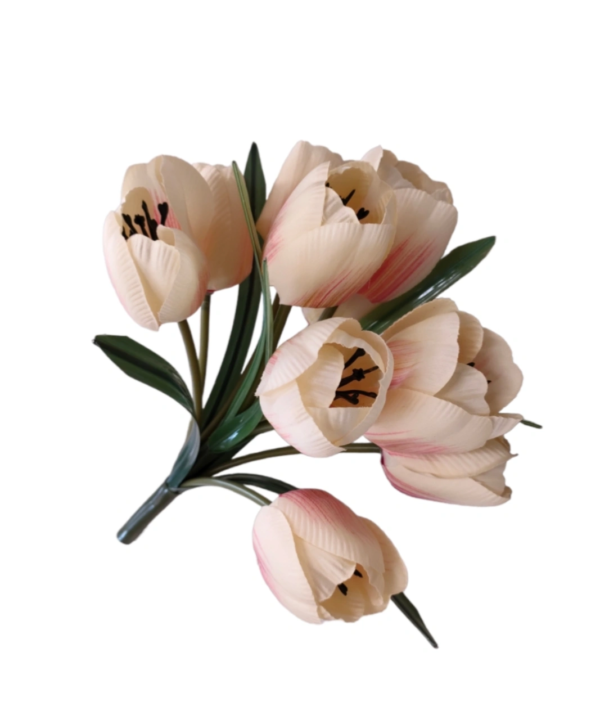 BUSH TULIPANO X10 34CM - immagine 4