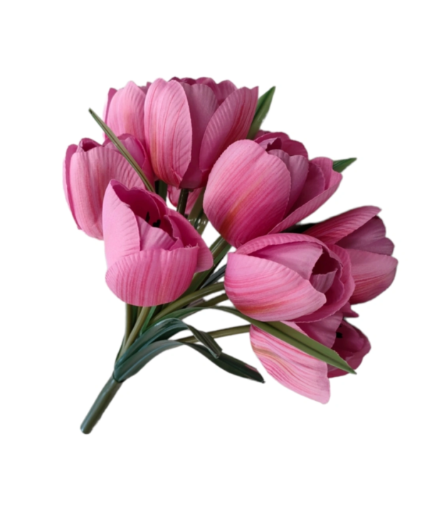 BUSH TULIPANO X10 34CM - immagine 5