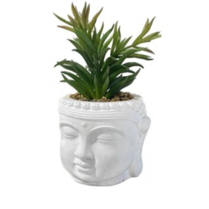 VASO BUDDHA PIANTA GRASSA TALL 10,5*10,5*20CM