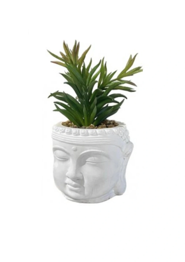 VASO BUDDHA PIANTA GRASSA TALL 10,5*10,5*20CM