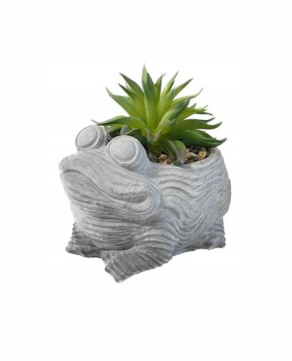 RANA PIANTA GRASSA WHITE 15,5*13,5*15CM