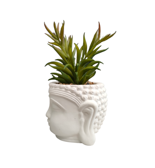 VASO BUDDHA PIANTA GRASSA TALL 10,5*10,5*20CM - immagine 2