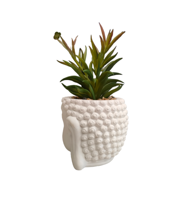 VASO BUDDHA PIANTA GRASSA TALL 10,5*10,5*20CM - immagine 3