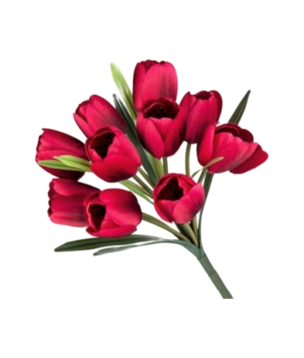 BUSH TULIPANO X10 34CM - immagine 6