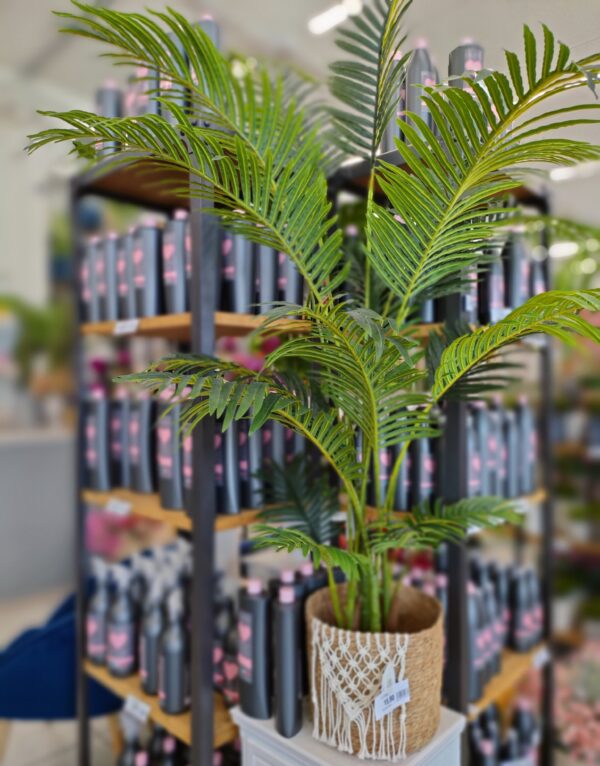 PIANTA PALMA REAL TOUCH BIG D.110*170CM - immagine 4