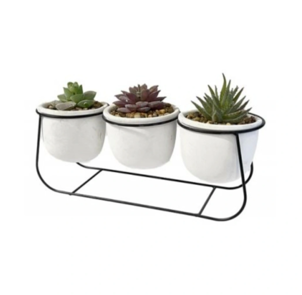 COMPOSIZIONE 3 VASETTI PIANTA GRASSA 26*9,5*16CM - immagine 2