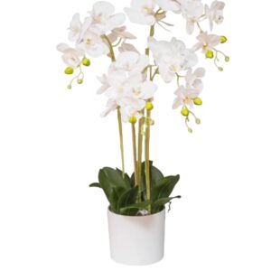 PIANTA ORCHIDEA REAL TOUCH 30 FIORI 80CM