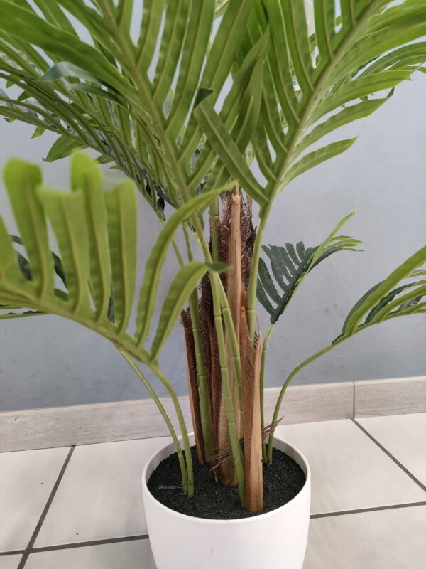 PIANTA PALMA VASO BIANCO 60CM - immagine 3