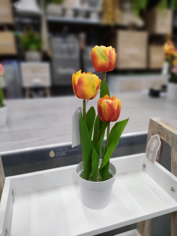 Vaso Tulipani 3 Fiori 34Cm 5Colori - immagine 3