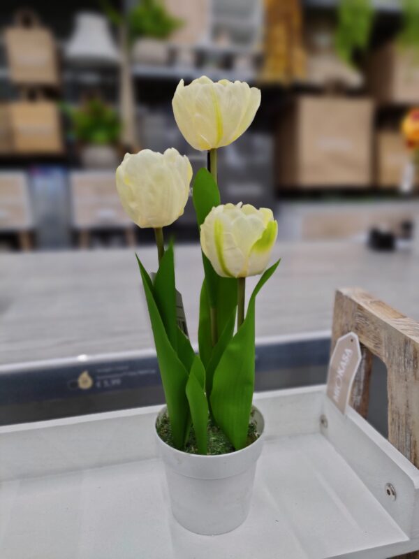 Vaso Tulipani 3 Fiori 34Cm 5Colori - immagine 6