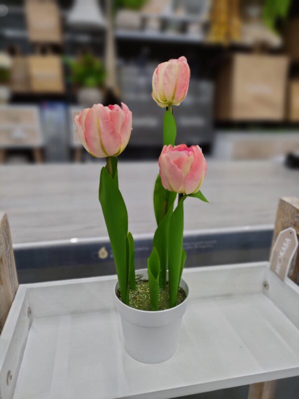 Vaso Tulipani 3 Fiori 34Cm 5Colori - immagine 4