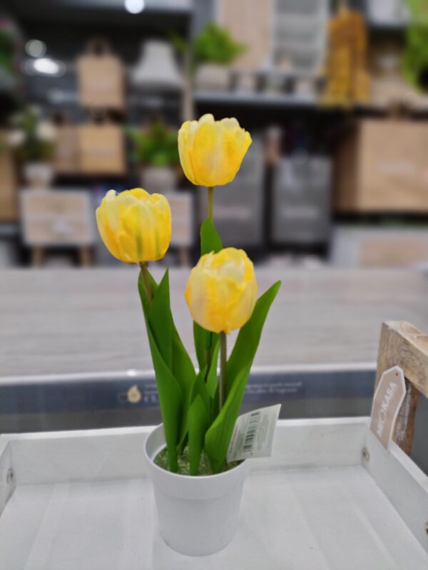 Vaso Tulipani 3 Fiori 34Cm 5Colori - immagine 5