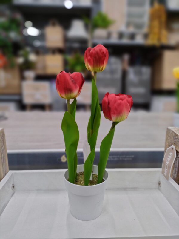 Vaso Tulipani 3 Fiori 34Cm 5Colori - immagine 2
