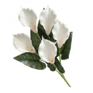 Bush Calle 5 Fiori 36Cm 2 colori