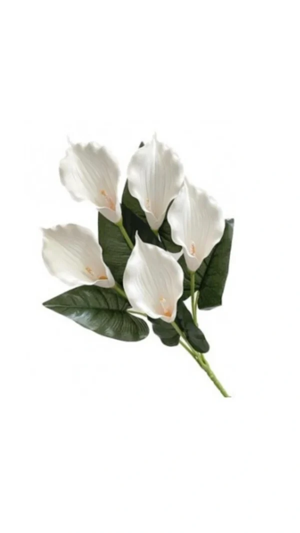 Bush Calle 5 Fiori 36Cm 2 colori