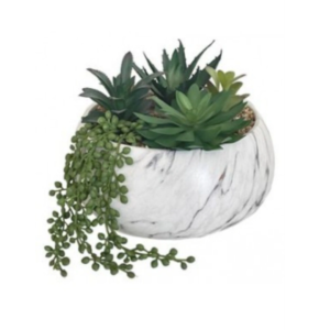 Round Vase Composiz. Pianta Grassa 22*22*21Cm