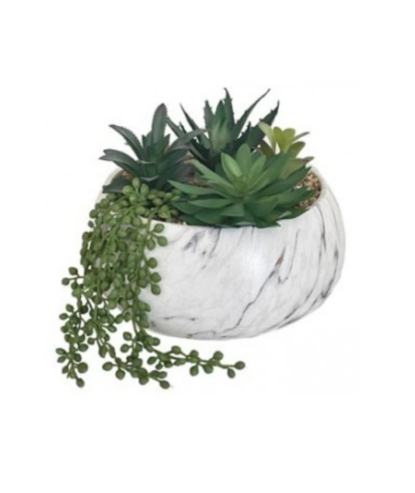 Round Vase Composiz. Pianta Grassa 22*22*21Cm