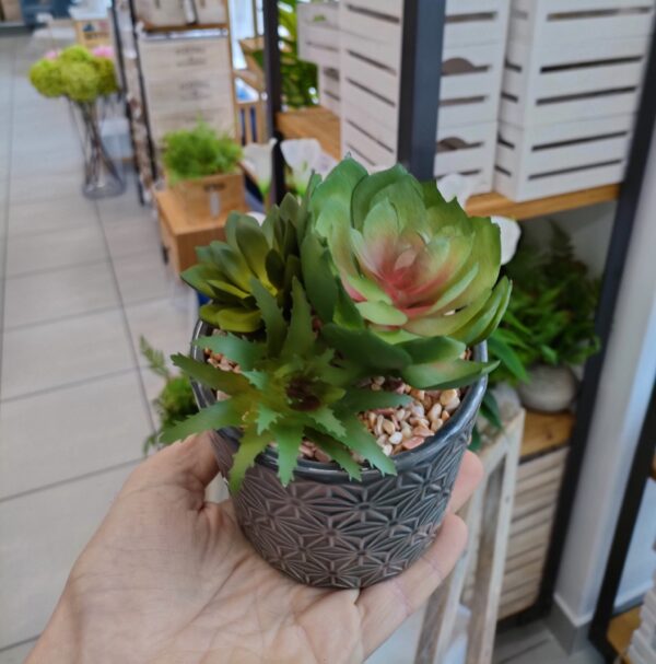 Pianta Grassa Ceramic Pot 9,5*9,5*13,5Cm 2 colori - immagine 3