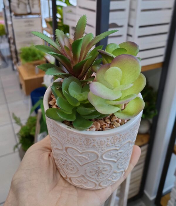 Pianta Grassa Ceramic Pot 9,5*9,5*13,5Cm 2 colori - immagine 2