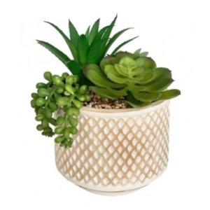 Vaso Ceramica Pianta Grassa 14*14*20Cm