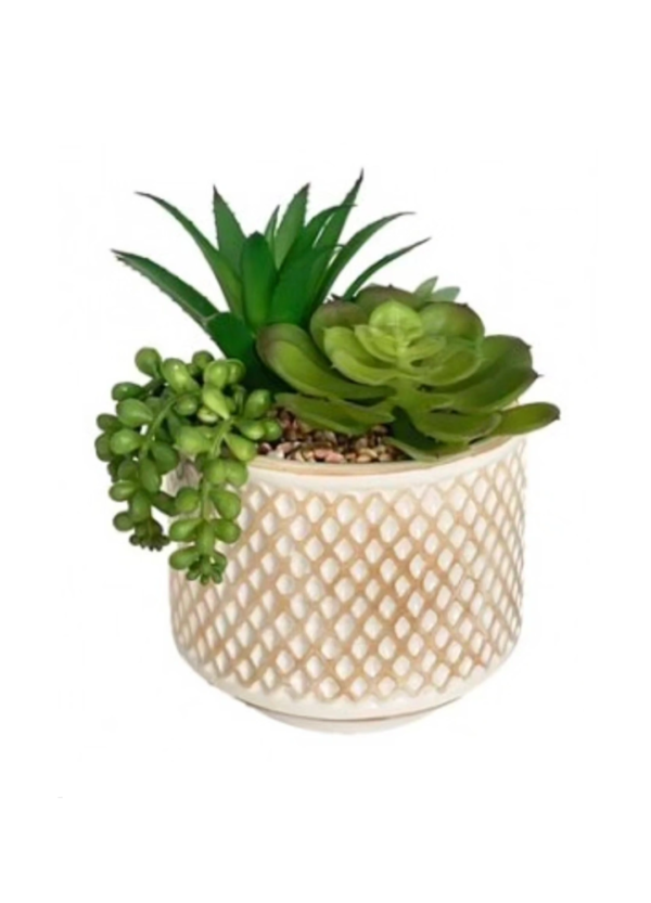 Vaso Ceramica Pianta Grassa 14*14*20Cm